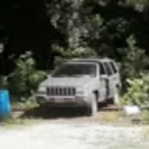 Meet your Posher, Henry